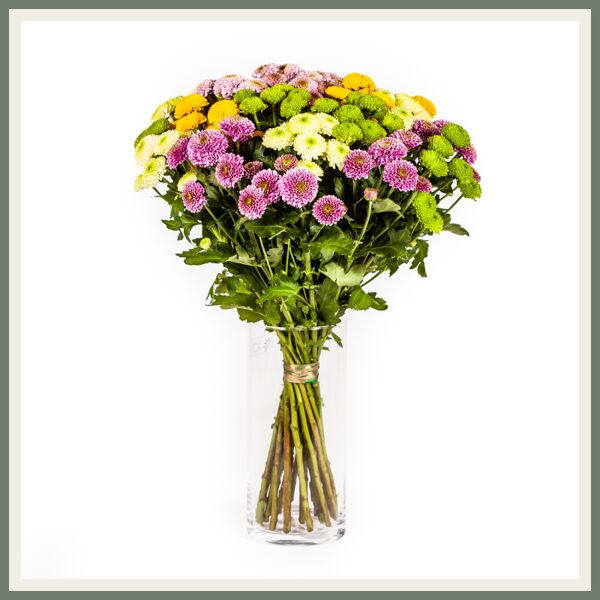 Santini krüsanteemid